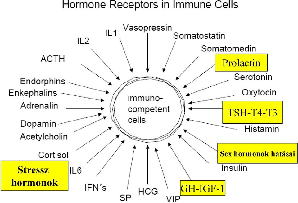 Stressz hormonok