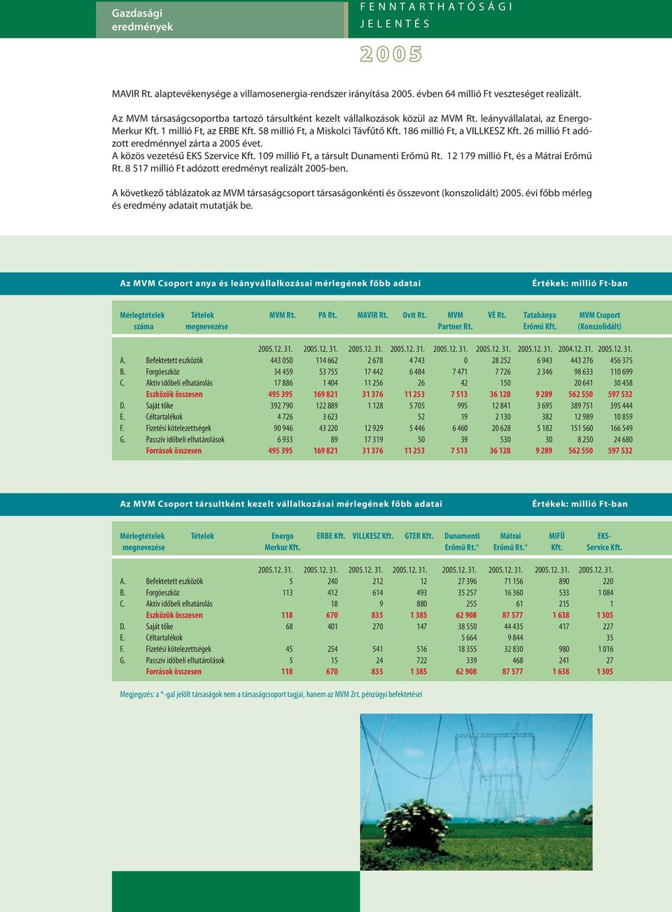 186 millió Ft, a VILLKESZ Kft. 26 millió Ft adózott eredménnyel zárta a 2005 évet. A közös vezetésű EKS Szervice Kft. 109 millió Ft, a társult Dunamenti Erőmű Rt.