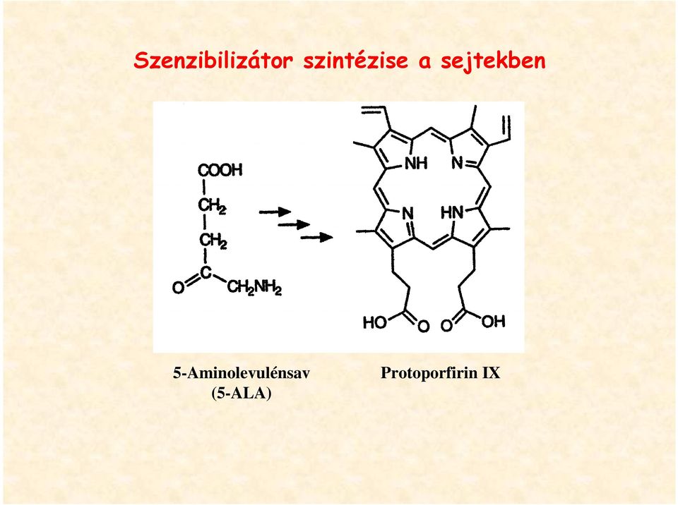 sejtekben