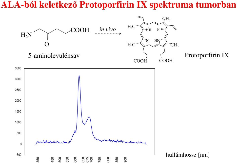 Protoporfirin IX 3500 3000 2500 2000 1500 1000 500 0 F L U O R E S C E