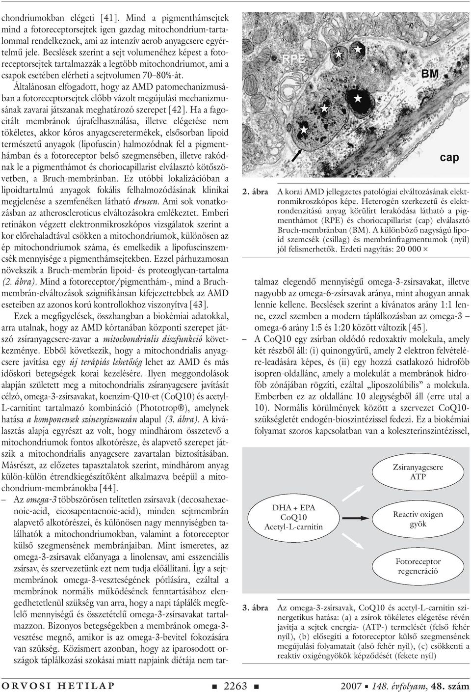 A különbözô nagyságú lipoid szemcsék (csillag) és membránfragmentumok (nyíl) jól felismerhetôk. Erdeti nagyítás: 20 000 # chondriumokban elégeti [41].