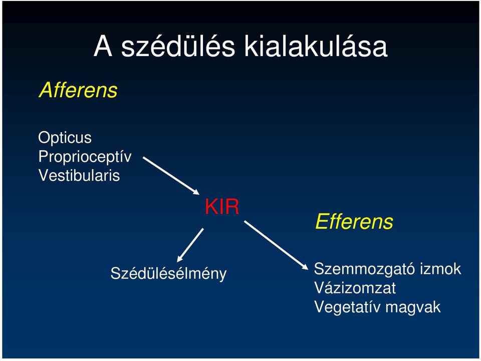 KIR Efferens Szédülésélmény