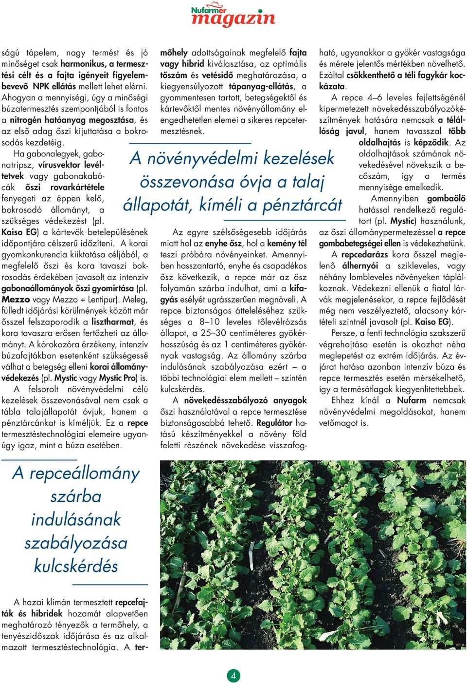 Ha gabonalegyek, ga bonatripsz, vírus vektor le v éltetvek vagy gabo na ka bó - cák ôszi rovarkártétele fenyegeti az éppen kelô, bokrosodó állományt, a szük séges védekezést (pl.