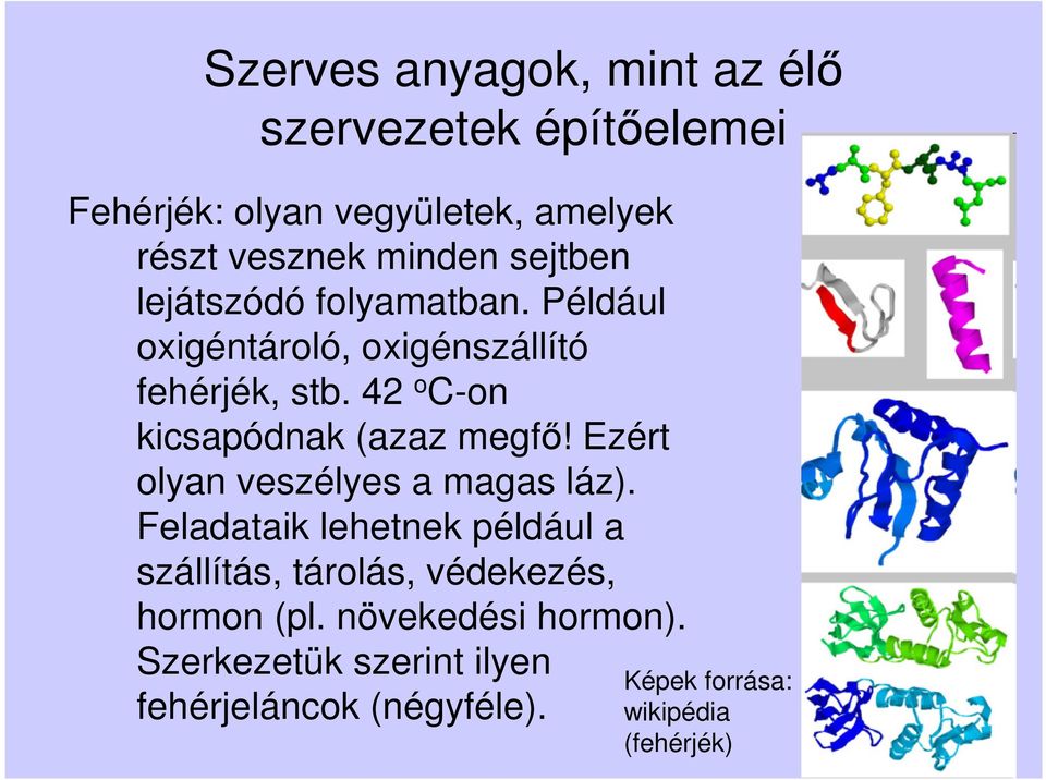 42 o C-on kicsapódnak (azaz megfő! Ezért olyan veszélyes a magas láz).