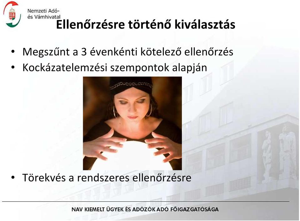 ellenőrzés Kockázatelemzési