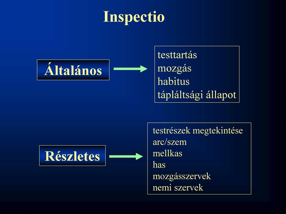 Részletes testrészek megtekintése