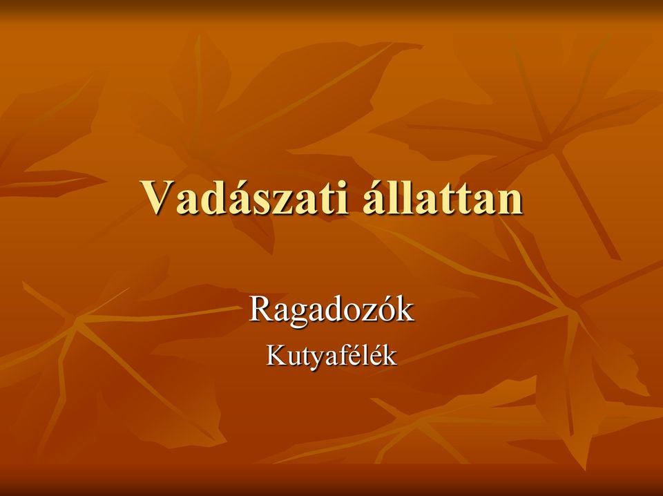 Ragadozók