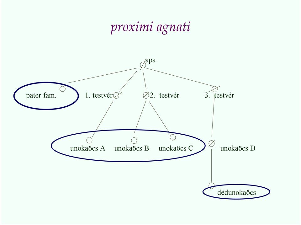 testvér unokaöcs A unokaöcs B