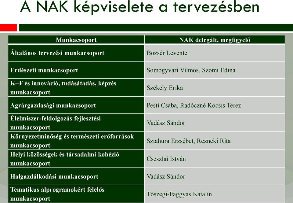 társadalmi kohézió munkacsoport Halgazdálkodási munkacsoport Tematikus alprogramokért felelős munkacsoport NAK delegált, megfigyelő Bozsér Levente Somogyvári