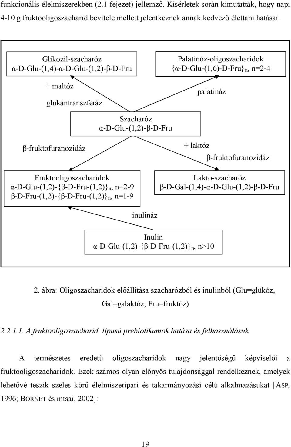 β-fruktofuranozidáz Fruktooligoszacharidok α-d-glu-(1,2)-{β-d-fru-(1,2)} n, n=2-9 β-d-fru-(1,2)-{β-d-fru-(1,2)} n, n=1-9 + laktóz β-fruktofuranozidáz Lakto-szacharóz