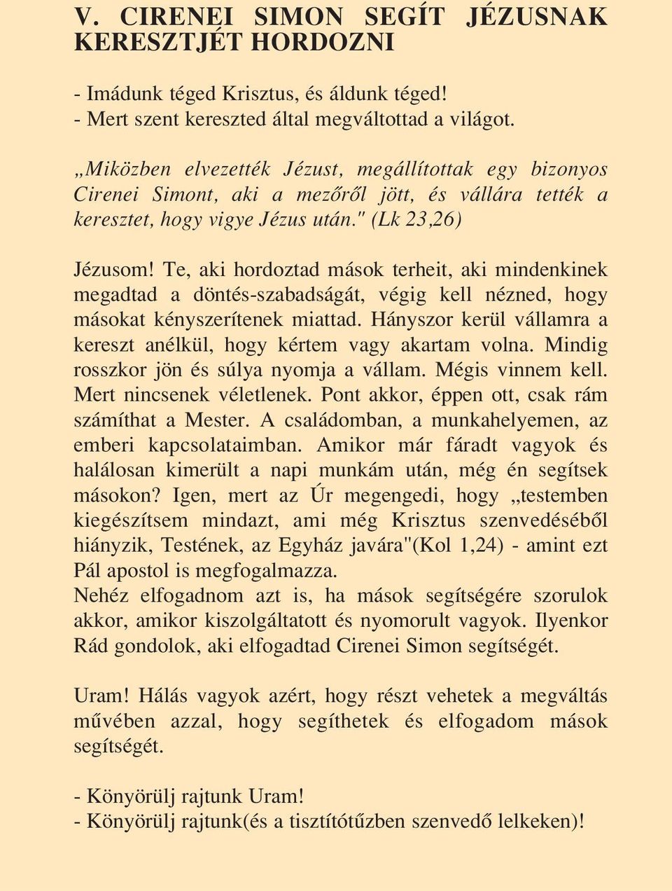 Te, aki hordoztad mások terheit, aki mindenkinek megadtad a döntés-szabadságát, végig kell nézned, hogy másokat kényszerítenek miattad.