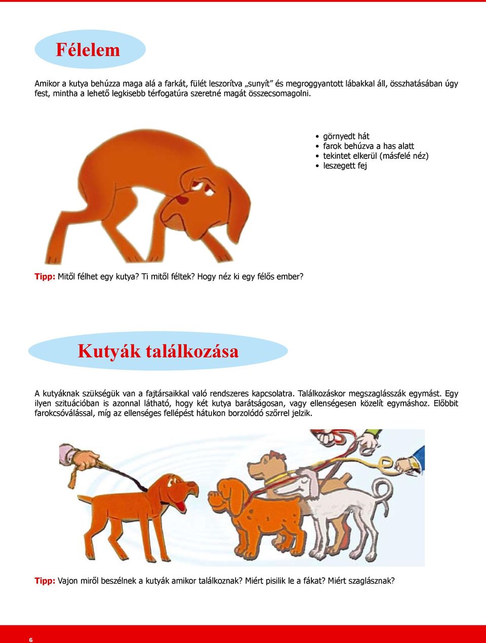 Kutyák találkozása A kutyáknak szükségük van a fajtársaikkal való rendszeres kapcsolatra. Találkozáskor megszaglásszák egymást.