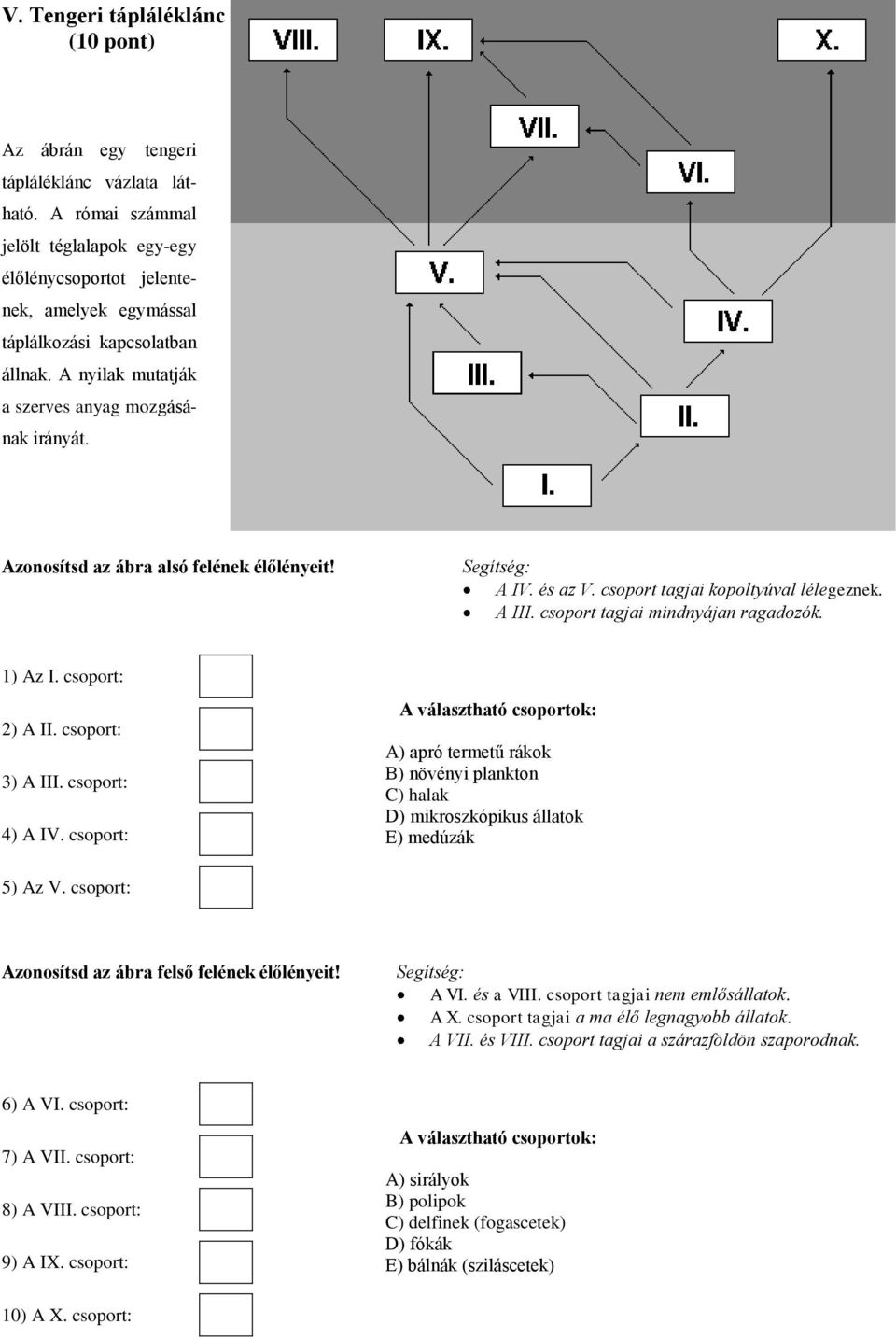 Azonosítsd az ábra alsó felének élőlényeit! Segítség: A IV. és az V. csoport tagjai kopoltyúval lélegeznek. A III. csoport tagjai mindnyájan ragadozók. 1) Az I. csoport: 2) A II. csoport: 3) A III.