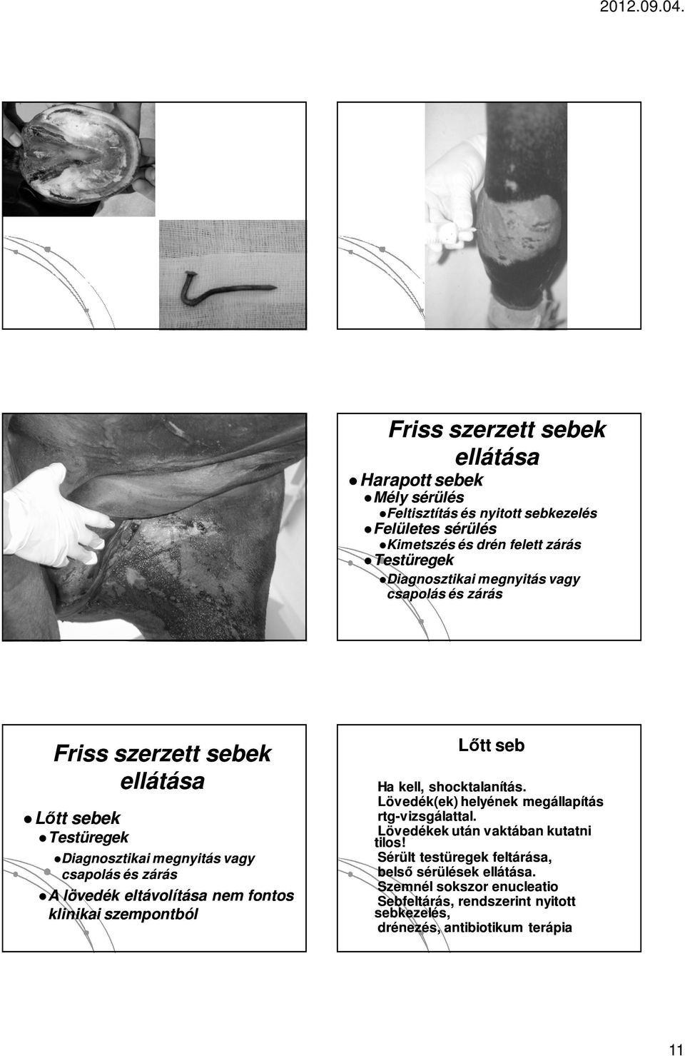 eltávolítása nem fontos klinikai szempontból Lőtt seb Ha kell, shocktalanítás. Lövedék(ek) helyének megállapítás rtg-vizsgálattal.