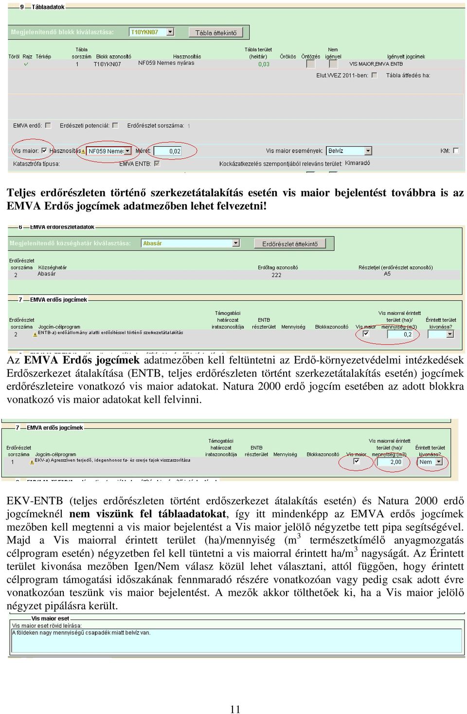 erdőrészleteire vonatkozó vis maior adatokat. Natura 2000 erdő jogcím esetében az adott blokkra vonatkozó vis maior adatokat kell felvinni.