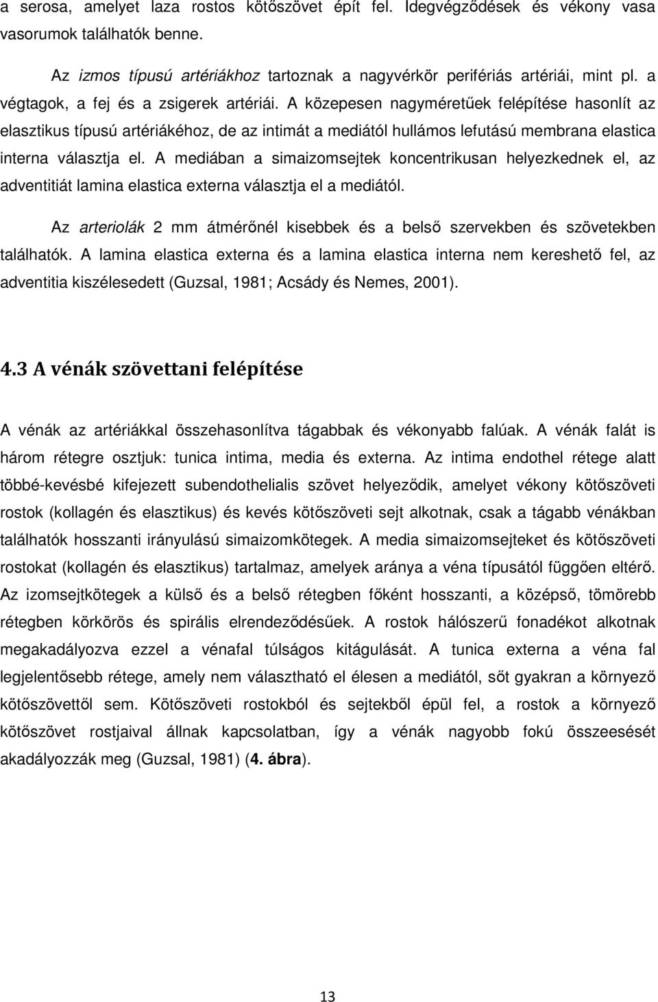 A közepesen nagyméretűek felépítése hasonlít az elasztikus típusú artériákéhoz, de az intimát a mediától hullámos lefutású membrana elastica interna választja el.