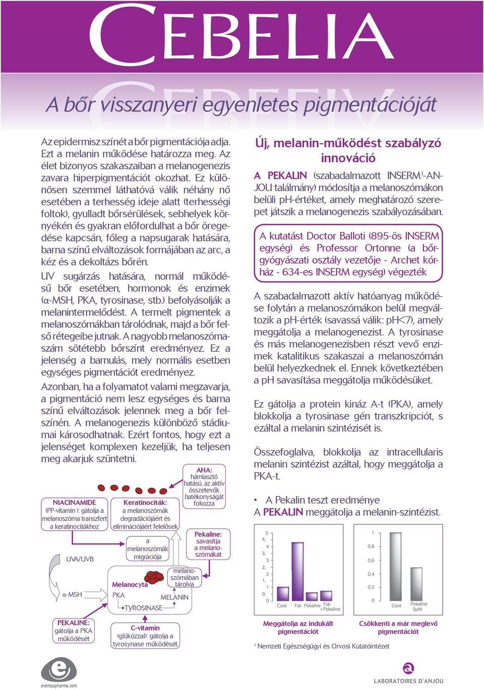 apsugarak hatására, bara szíű elváltozások formájába az arc, a kéz és a dekoltázs bőré. UV sugárzás hatására, ormál működésű bőr esetébe, hormook és ezimek (α-msh, PKA, tyrosiase, stb.