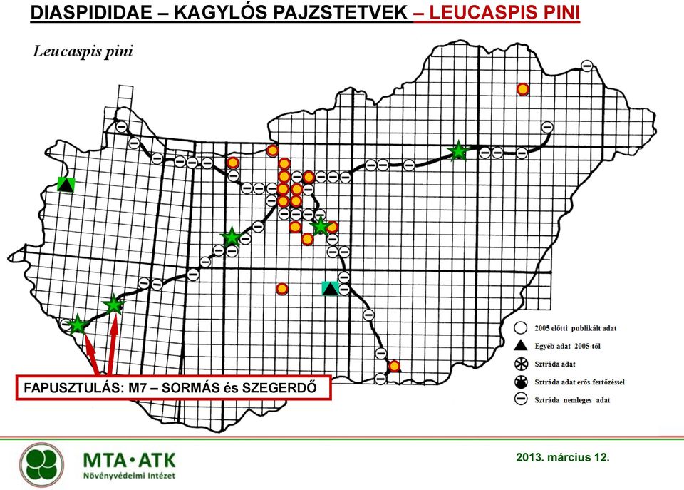 PINI FAPUSZTULÁS: M7