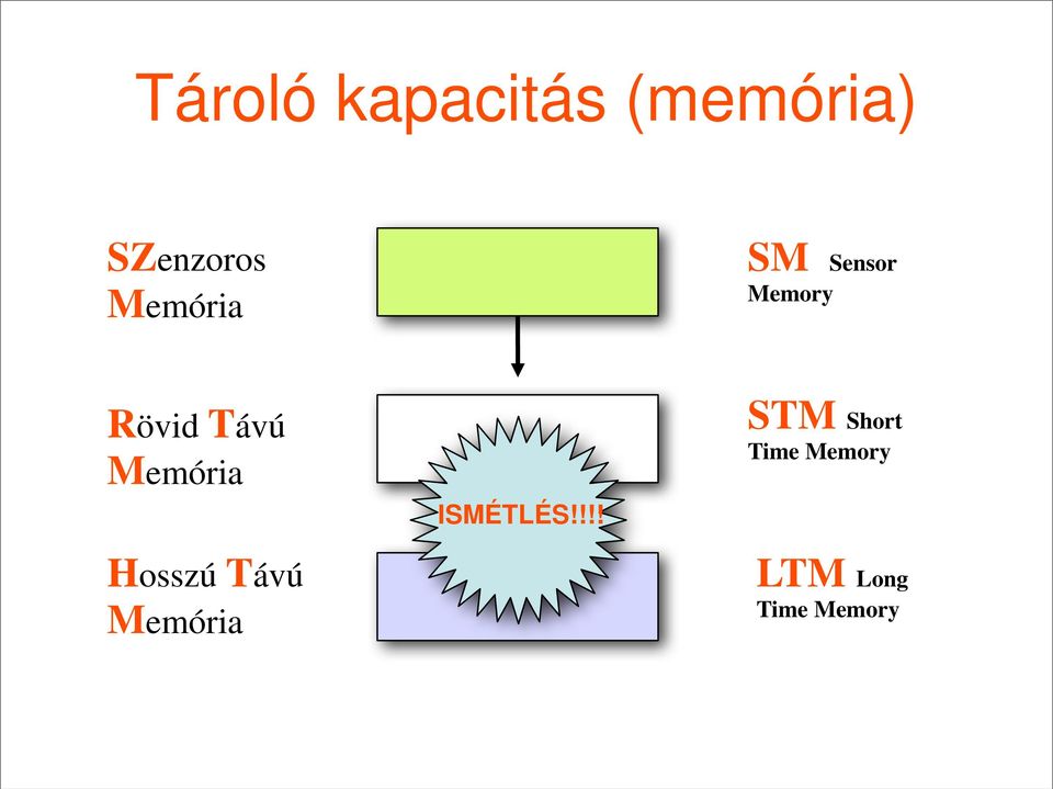 Memória Hosszú Távú Memória ISMÉTLÉS!