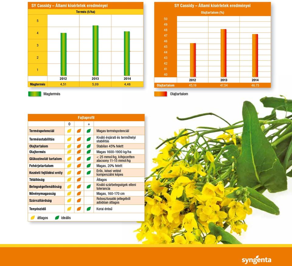 75 Olajtartalom Terméspotenciál Termésstabilitás Olajtartalom Olajtermés Glükozinolát tartalom Fehérjetartalom Kezdeti fejlődési erély Télállóság Betegségellenállóság Növénymagasság Szárszilárdság