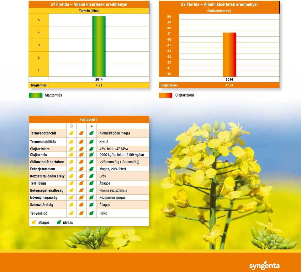 74 Olajtartalom Terméspotenciál Fajtaprofil 0 + Kiemelkedően magas Termésstabilitás Kiváló Olajtartalom 45% felett (47,74%) Olajtermés 2000 kg/ha felett