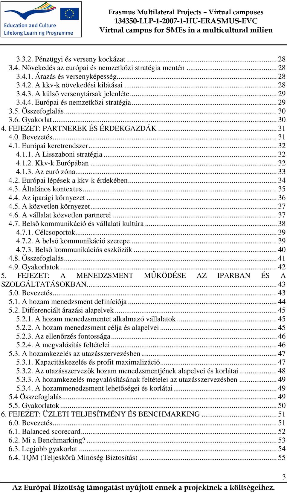 .. 32 4.1.2. Kkv-k Európában... 32 4.1.3. Az euró zóna... 33 4.2. Európai lépések a kkv-k érdekében... 34 4.3. Általános kontextus... 35 4.4. Az iparági környezet... 36 4.5. A közvetlen környezet.