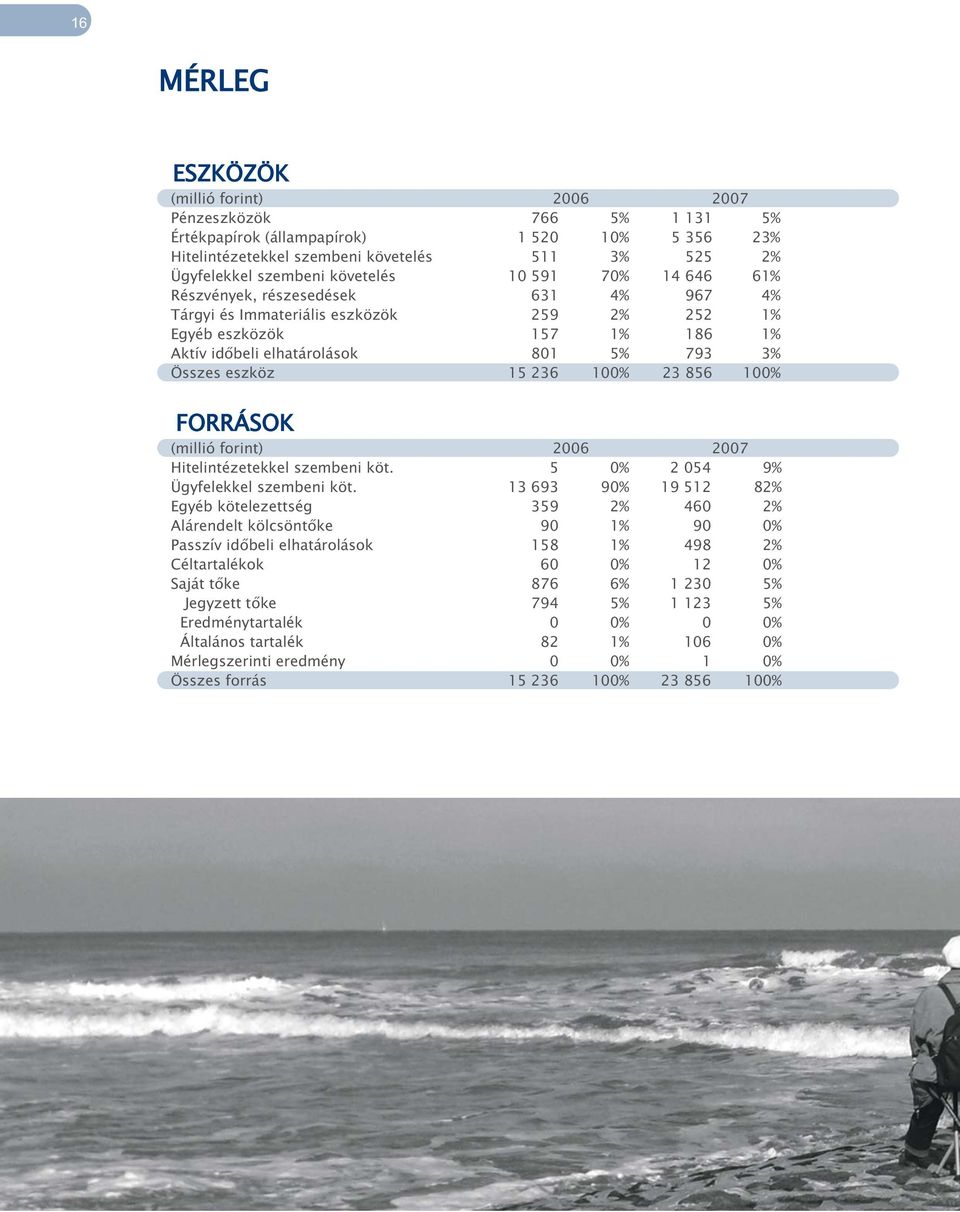 eszköz 15 236 100% 23 856 100% FORRÁSOK (millió forint) 2006 2007 Hitelintézetekkel szembeni köt. 5 0% 2 054 9% Ügyfelekkel szembeni köt.