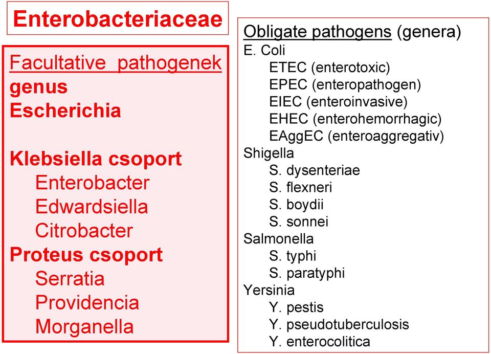 Coli ETEC (enterotoxic) EPEC (enteropathogen) EIEC (enteroinvasive) EHEC (enterohemorrhagic) EAggEC