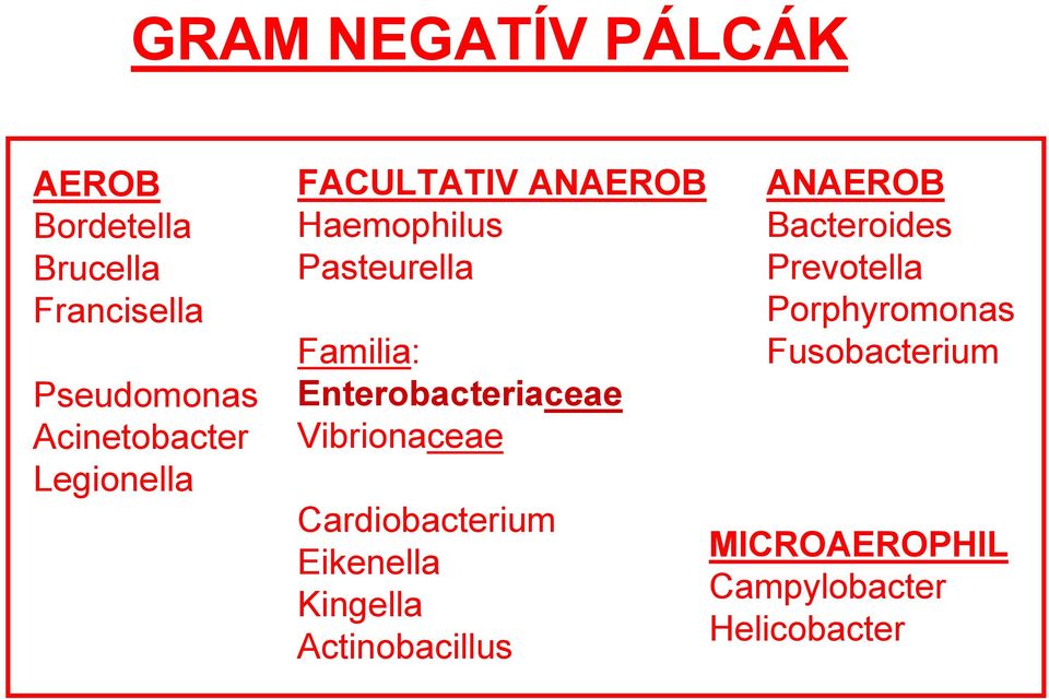 Enterobacteriaceae Vibrionaceae Cardiobacterium Eikenella Kingella Actinobacillus