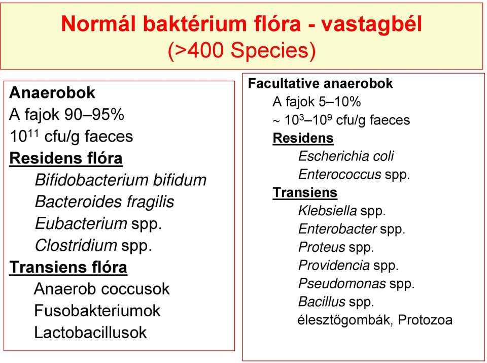 Transiens flóra Anaerob coccusok Fusobakteriumok Lactobacillusok Facultative anaerobok A fajok 5 10% 10 3 10 9 cfu/g