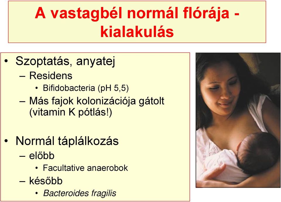 kolonizációja gátolt (vitamin K pótlás!