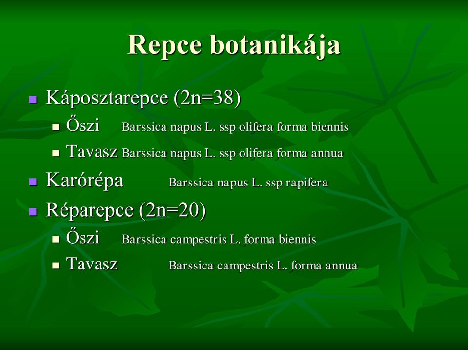 ssp olifera forma annua Karórépa Réparepce (2n=20) Őszi Tavasz