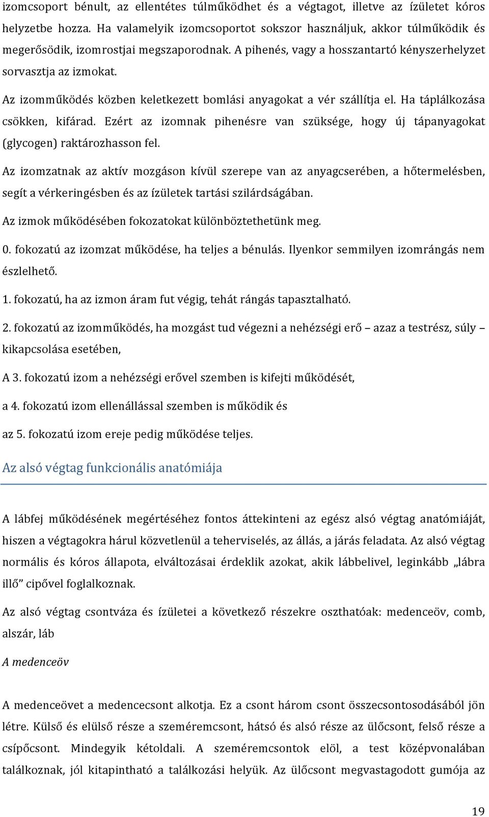 Az izomműködés közben keletkezett bomlási anyagokat a vér szállítja el. Ha táplálkozása csökken, kifárad. Ezért az izomnak pihenésre van szüksége, hogy új tápanyagokat (glycogen) raktározhasson fel.