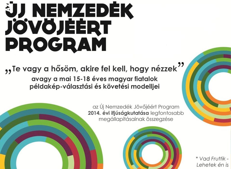 az Új Nemzedék Jövőjéért Program 2014.