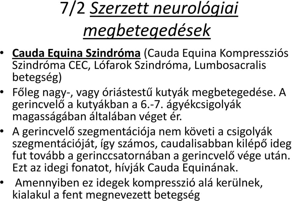 A gerincvelő szegmentációja nem követi a csigolyák szegmentációját, így számos, caudalisabban kilépő ideg fut tovább a gerinccsatornában a