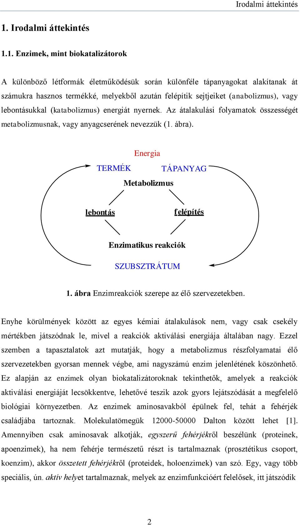 lebontásukkal (katabolizmus) energiát nyernek. Az átalakulási folyamatok összességét metabolizmusnak, vagy anyagcserének nevezzük (1. ábra).