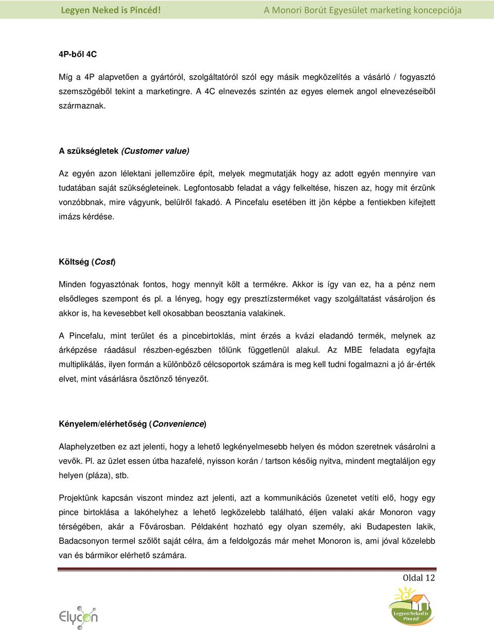 A szükségletek (Customer value) Az egyén azon lélektani jellemzőire épít, melyek megmutatják hogy az adott egyén mennyire van tudatában saját szükségleteinek.