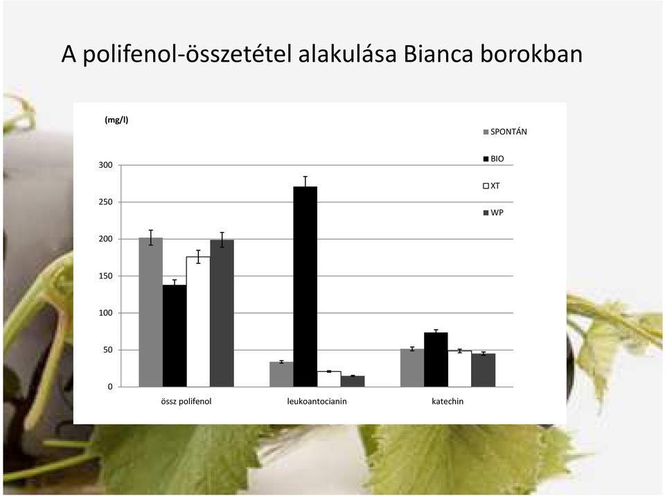 Biancaborokban SPONTÁN 3 25