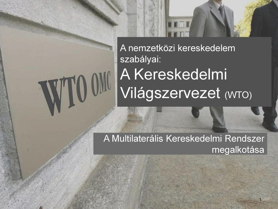 Világszervezet (WTO) A