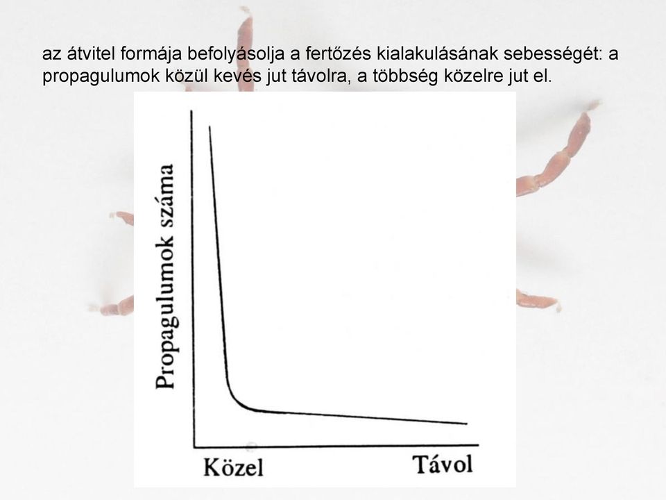 sebességét: a propagulumok közül