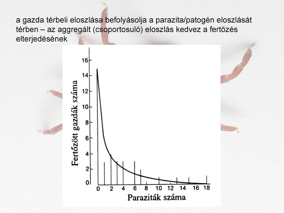 eloszlását térben az aggregált