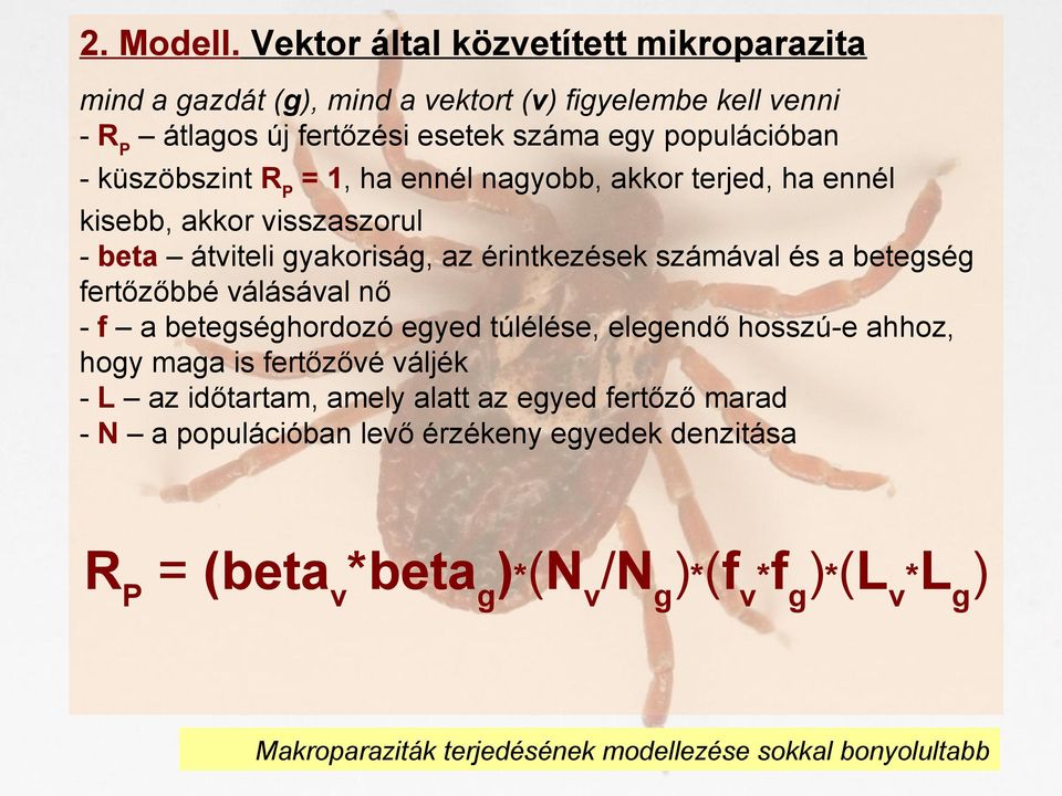 küszöbszint RP = 1, ha ennél nagyobb, akkor terjed, ha ennél kisebb, akkor visszaszorul - beta átviteli gyakoriság, az érintkezések számával és a betegség