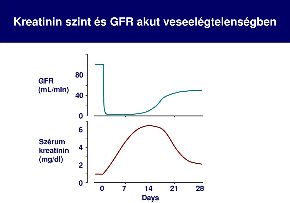 (ml/min) 80 40 0 Szérum