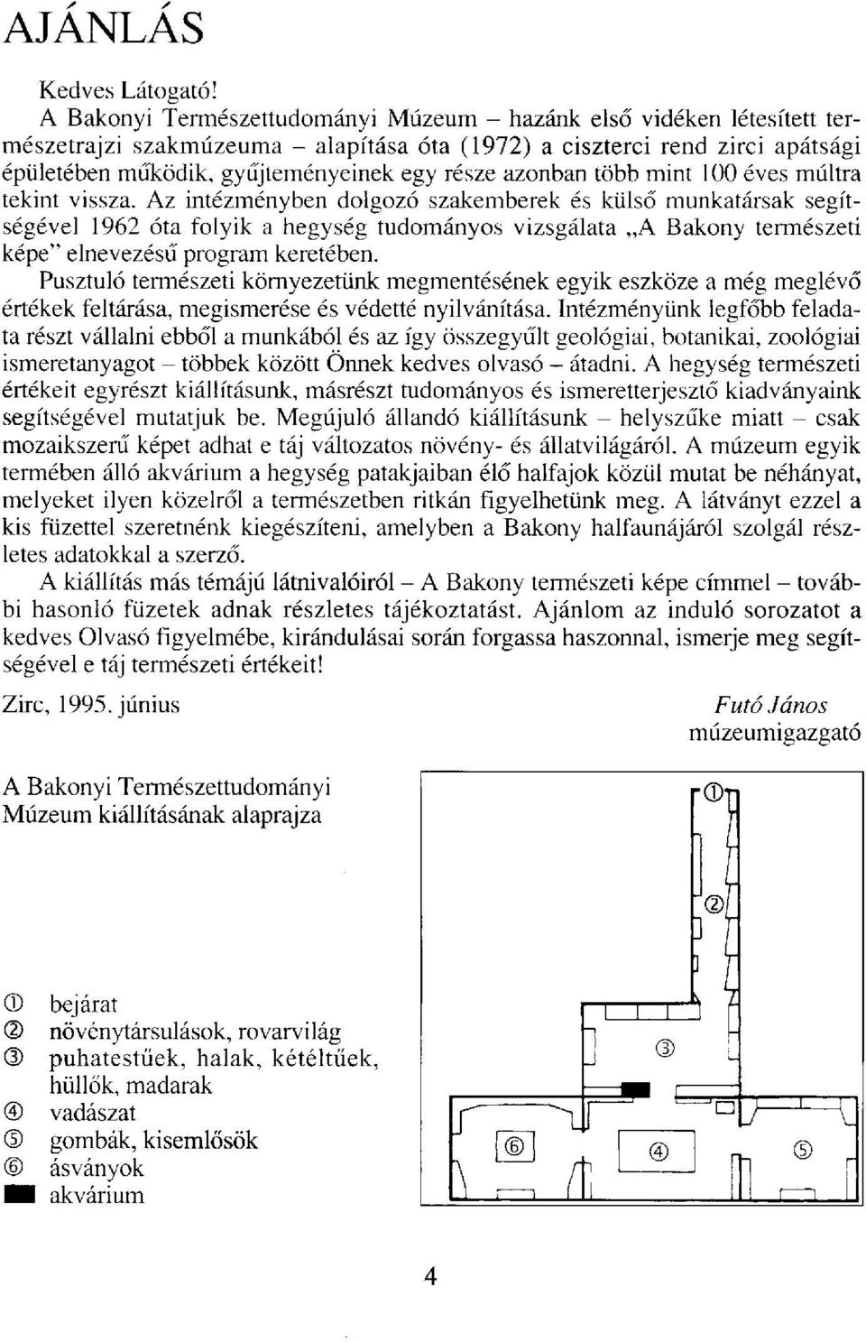 azonban több mint 100 éves múltra tekint vissza.