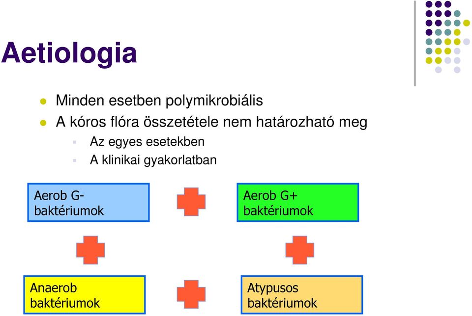 esetekben A klinikai gyakorlatban Aerob G-