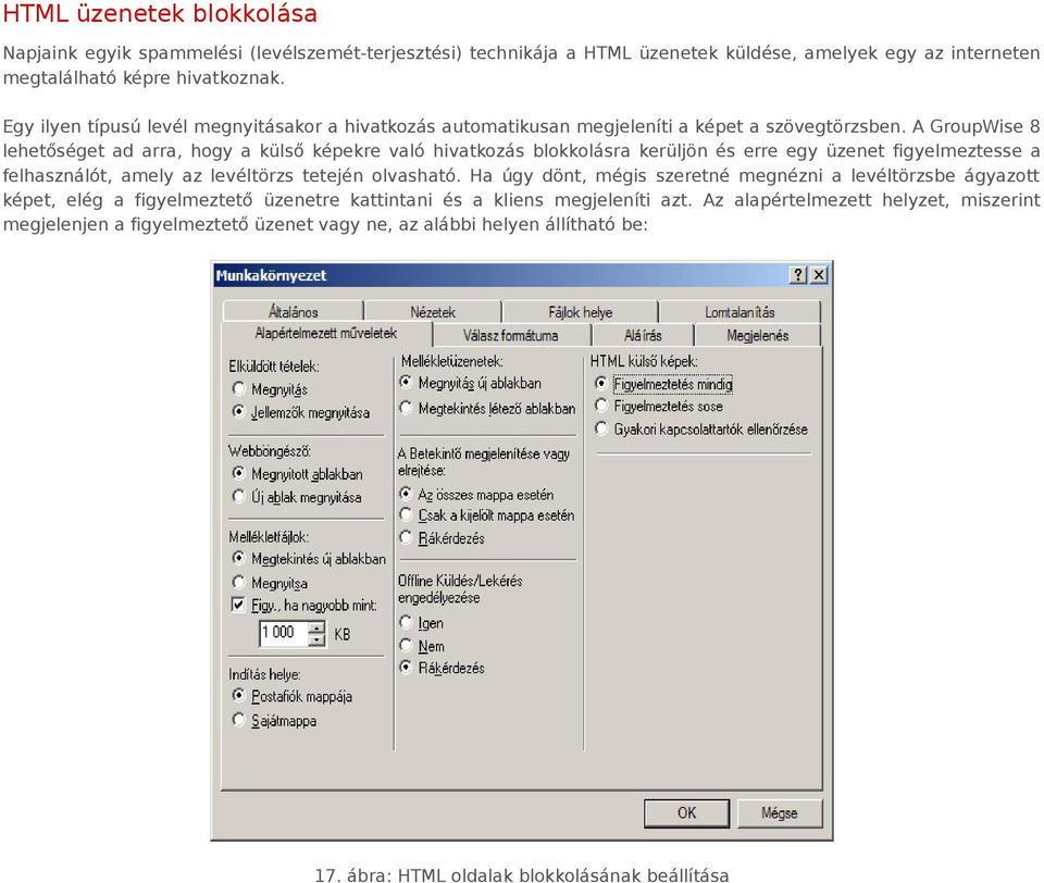 A GroupWise 8 lehetőséget ad arra, hogy a külső képekre való hivatkozás blokkolásra kerüljön és erre egy üzenet figyelmeztesse a felhasználót, amely az levéltörzs tetején olvasható.