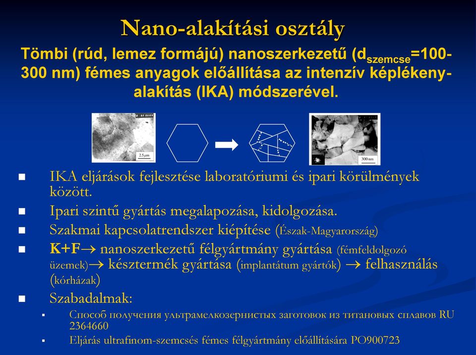 Szakmai kapcsolatrendszer kiépítése (Észak-Magyarország) K+F nanoszerkezetű félgyártmány gyártása (fémfeldolgozó üzemek) késztermék gyártása (implantátum