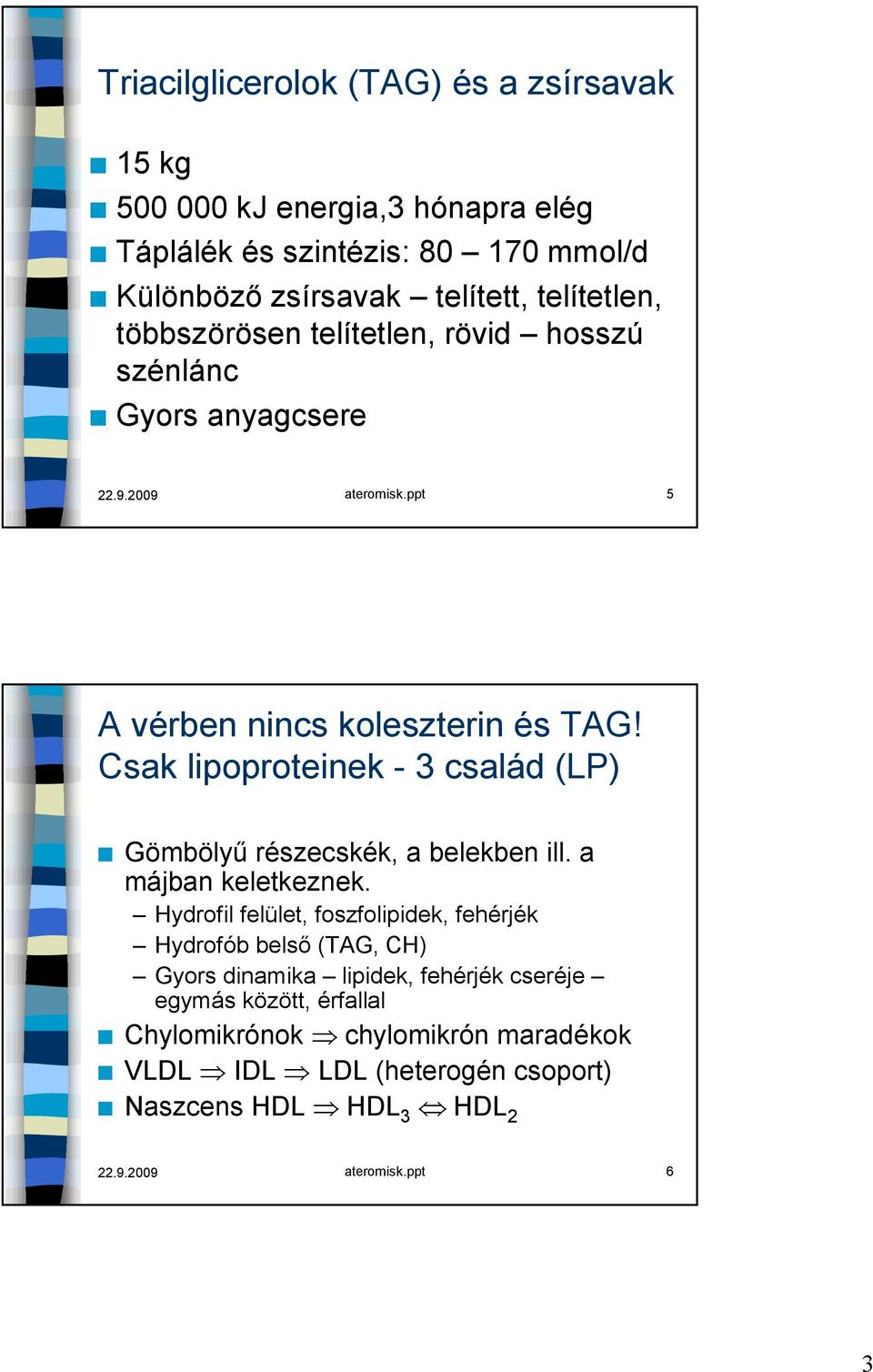 Csak lipoproteinek - 3 család (LP) Gömbölyű részecskék, a belekben ill. a májban keletkeznek.