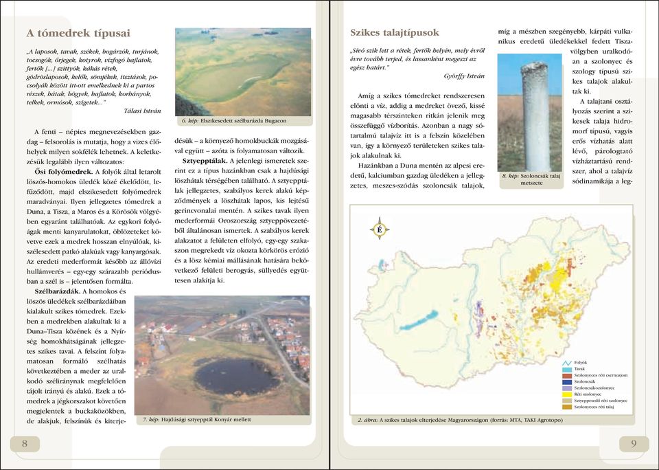 .. Tálasi István 6. kép: Elszikesedett szélbarázda Bugacon A fenti népies megnevezésekben gazdag felsorolás is mutatja, hogy a vizes élôhelyek milyen sokfélék lehetnek.