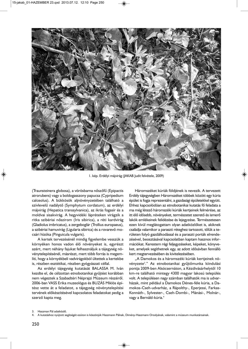 A bükkösök aljnövényzetében található a szívlevelû nadálytõ (Symphytum cordatum), az erdélyi májvirág (Hepatica transsylvanica), az ikrás fogasír és a moldvai sisakvirág.